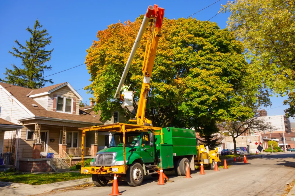 Tree service bucket truck and crew working on a street tree beside a house