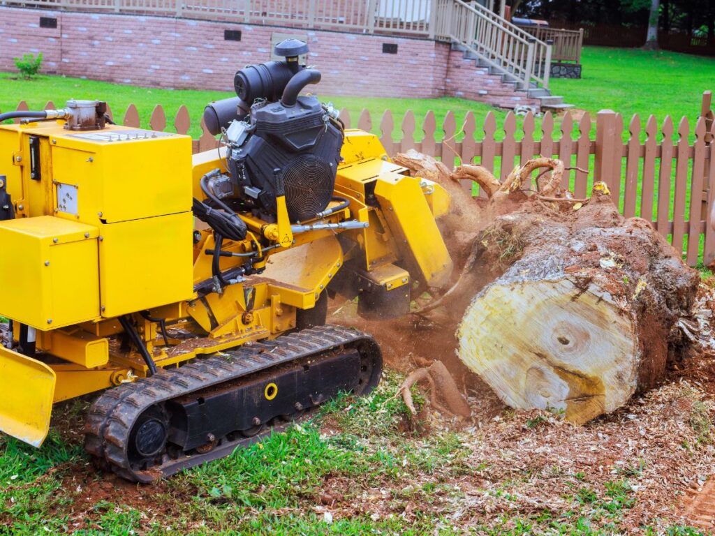 Stump Removal services Buffalo NY