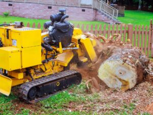 Stump Removal services Buffalo NY