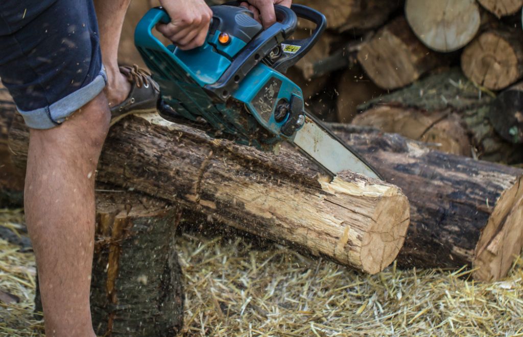 Same-day emergency tree removal Getzville NY