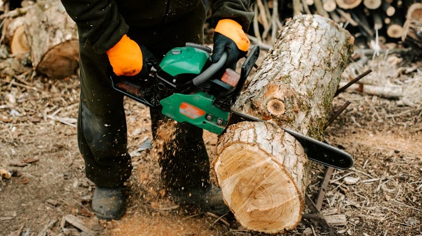 Tree removal services Williamsville NY