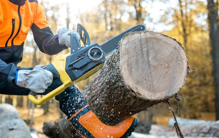 tree removal services in Getzville NY