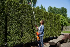 Residential Tree Trimming Services in Lockport NY