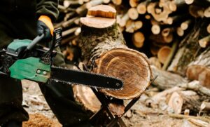 Top Stump Grinding Services in Getzville NY