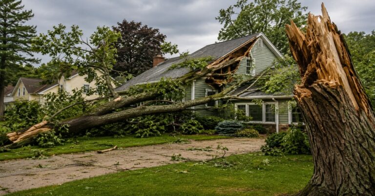 Labeled emergency tree removal checklist Buffalo guide featuring a large fallen tree resting on a residential house after a severe Western New York storm.