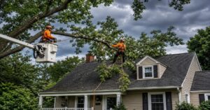 Emergency tree branches over roof removal service in Buffalo NY by Treemanny