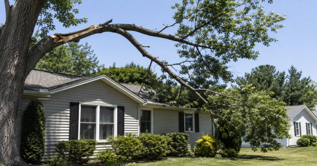 Professional tree trimming before storm season in Buffalo NY to protect property from storm damage.