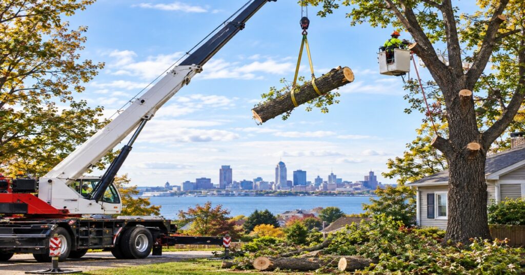 Certified arborist performing crane tree removal buffalo ny over tight residential roofline