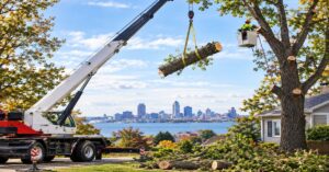 Certified arborist performing crane tree removal buffalo ny over tight residential roofline