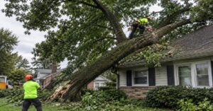 Emergency crew securing a large tree leaning toward house Buffalo NY after a storm